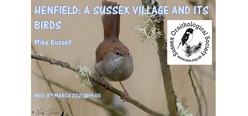 Henfield. A Sussex village and its birds.