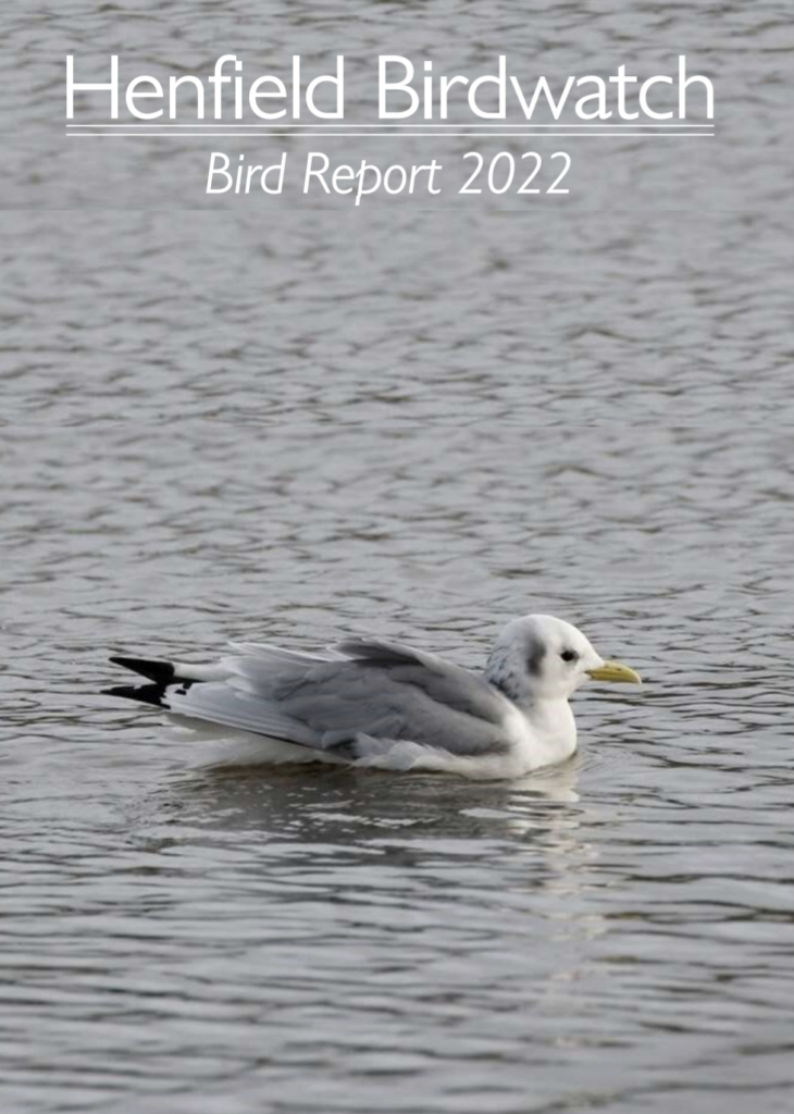 The 2022 Bird Report